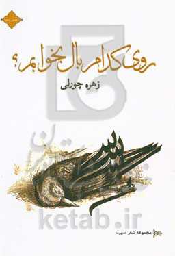 روی کدام بال بخوابم؟