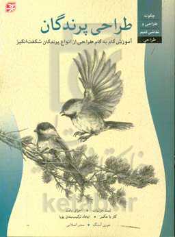 طراحی پرندگان