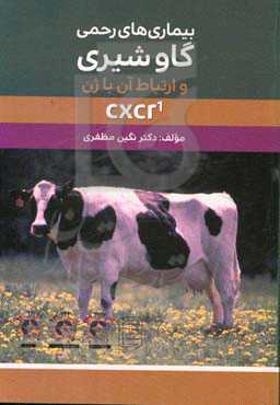 بیماری های رحمی گاو شیری و ارتباط آن با ژن CXCR1