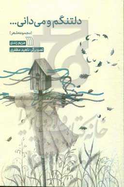 دلتنگم و می‌دانی ... (مجموعه شعر)