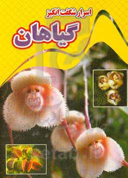 اسرار شگفت‌انگیز گیاهان