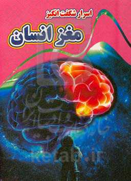 اسرار شگفت‌انگیز مغز انسان