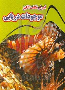 اسرار شگفت‌انگیز موجودات دریایی