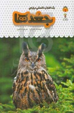 یک فنجان دانستنی درباره‌ی جغدها