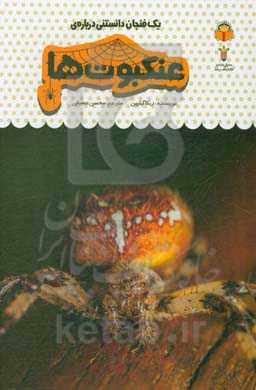 یک فنجان دانستنی درباره‌ی عنکبوت‌ها