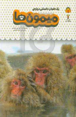 یک فنجان دانستنی درباره‌ی میمون‌ها