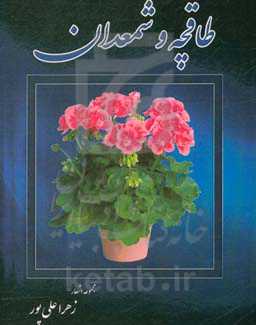 طاقچه و شمعدان