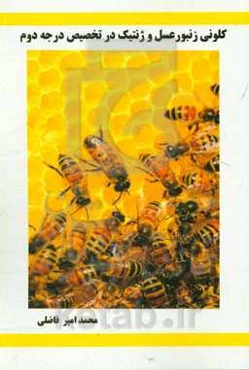 کلونی زنبورعسل و ژنتیک در تخصیص درجه دوم