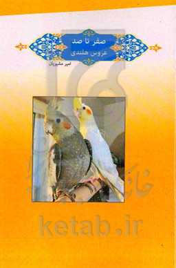 صفر تا صد عروس هلندی