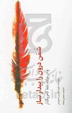 شمن درون را بیدار ساز