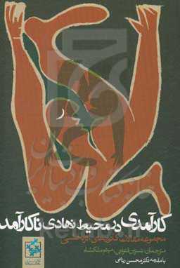 کارآمدی در محیط نهادی ناکارآمد