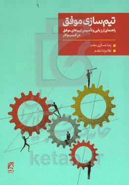 تیم‌سازی موفق: راهنمای ارزیابی و تاسیس تیم‌های موفق در کسب و کار