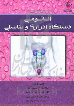 آناتومی دستگاه ادراری و تناسلی