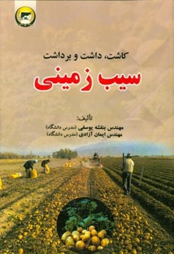 سیب‌زمینی: کاشت، داشت و برداشت