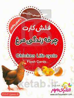 چرخه زندگی مرغ = Chicken life cycle