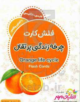 چرخه زندگی پرتقال = Orange life cycle