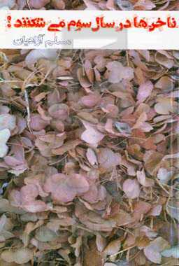 ناخن‌ها در سال سوم می‌شکنند!