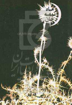 ماه نیمه‌جان: مجموعه خاطرات