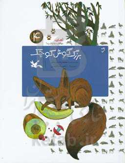 بزرگ‌گوش کوچک