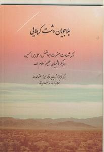 بلاجویان دشت کربلایی - ذکر شهادت حضرت ابوالفضل و علی بن الحسین و دیگر هاشمیان