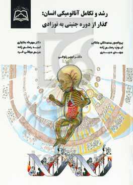 رشد و تکامل آناتومیکی انسان: گذار از دوره جنینی به نوزادی