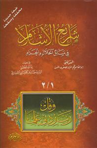شرائع الاسلام فی مسائل الحلال و الحرام - 4 جلد در 2 مجلد