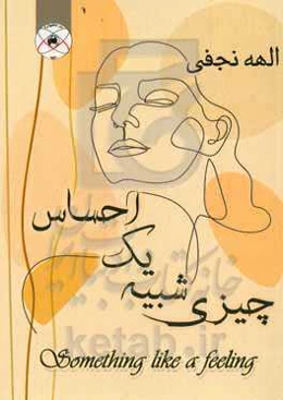 مجموعه نوشته‌های چیزی شبیه یک احساس = Some thing like a feeling