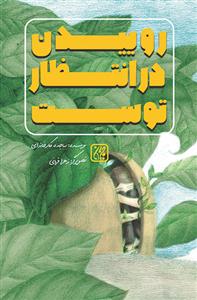 روییدن در انتظار توست