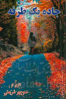 جاده یک طرفه