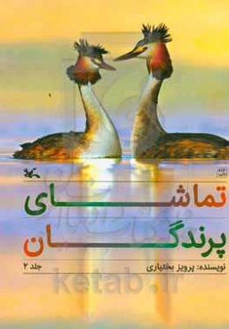 تماشای پرندگان