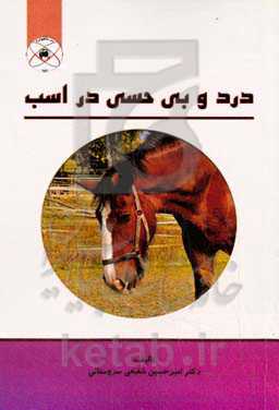 درد و بی‌حسی در اسب