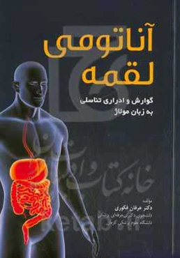 آناتومی لقمه