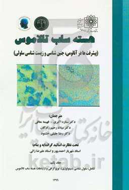 هسته ساب تالاموس (پيشرفت‌ها در آناتومی، جنين‌شناسی و زيست‌شناسی سلولی): تكامل، سلول شناسی (سيتولوژی)، توپوگرافی و ارتباطات هسته ساب تالاموس