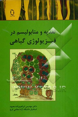 تغذیه و متابولیسم در فیزیولوژی گیاهی