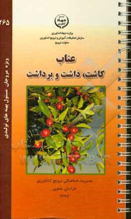 عناب: ‌کاشت، داشت و برداشت