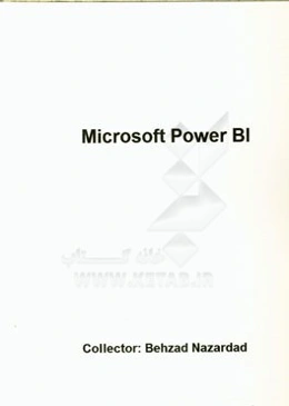 Microsoft power B1