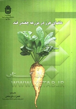 علف‌های هرز در مزرعه چغندر قند