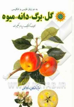 گل، برگ، دانه، میوه