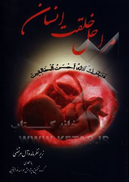 مراحل خلقت انسان