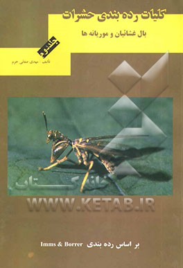 کلیات رده‌بندی حشرات: بال غشائیان و موریانه‌ها