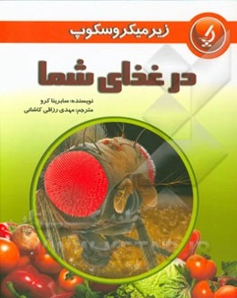 در غذای شما