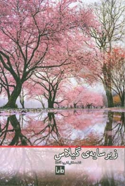 زیر سایه‌ی گیلاس