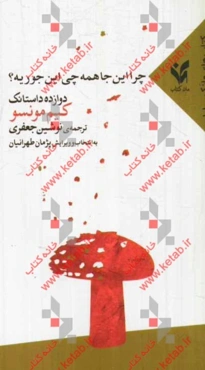 چرا اینجا همه چی این‌جوریه؟: دوازده داستانک