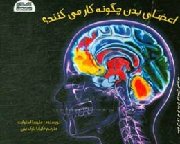 اعضای بدن چگونه کار می‌کنند؟