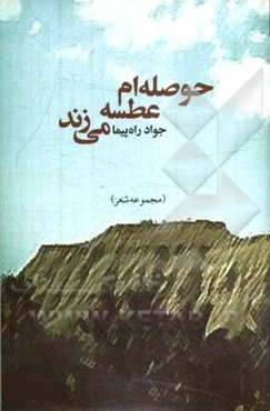 حوصله‌ام عطسه می‌زند