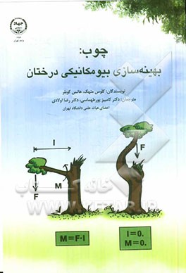 چوب: بهینه‌سازی بیومکانیکی درختان