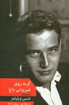 گربه روی شیروانی داغ