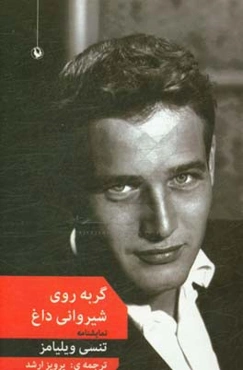 گربه روی شیروانی داغ