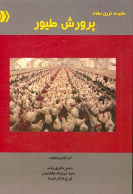 کلیدی‌ترین نکات پرورش طیور