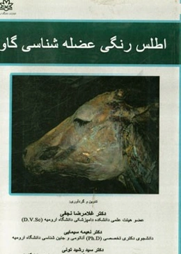 اطلس رنگی عضله‌شناسی گاو